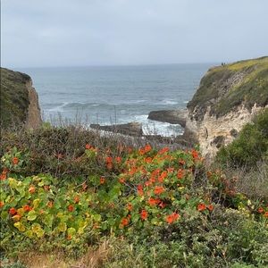 Meet your Posher, Natasha